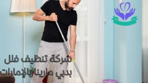 شركة تنظيف فلل  بدبي مارينا بالإمارات