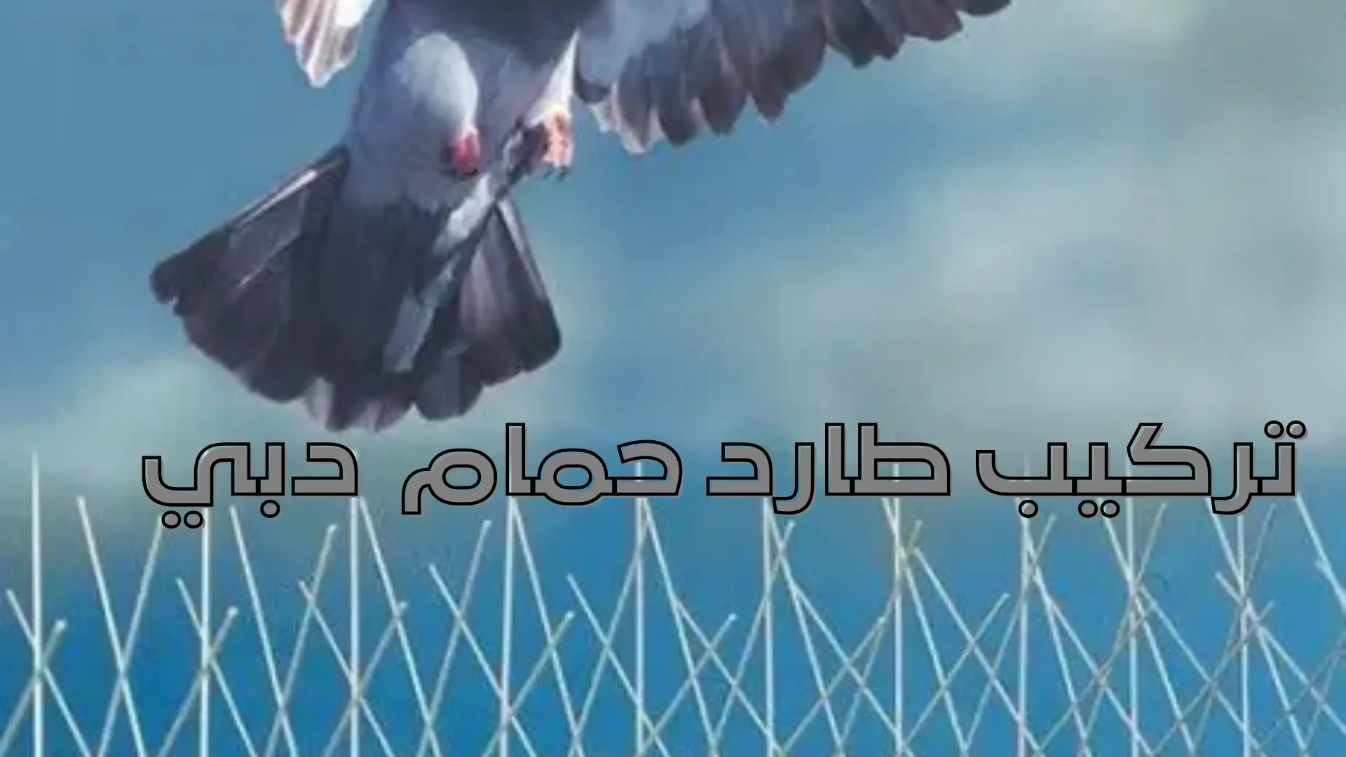 تركيب طارد حمام دبي (2)