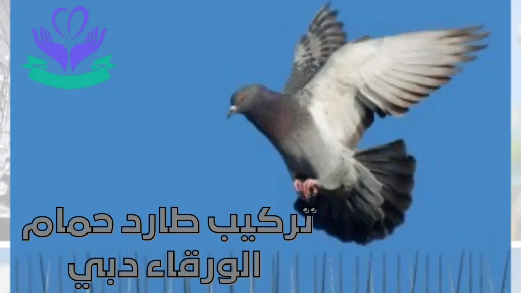 تركيب طارد حمام الورقاء دبي