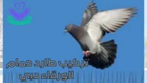 تركيب طارد حمام الورقاء دبي