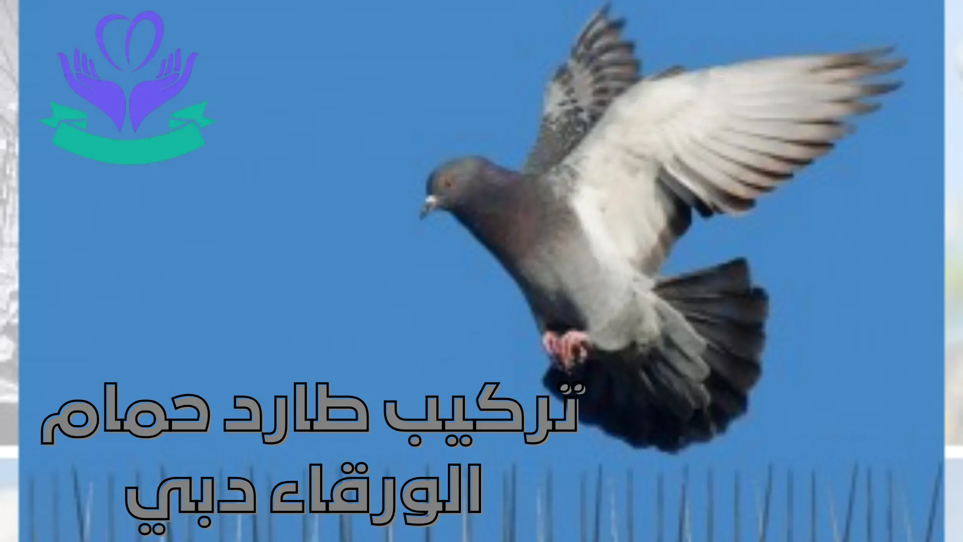 تركيب طارد حمام الورقاء دبي