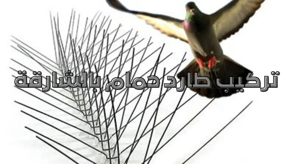 تركيب طارد حمام بالشارقة