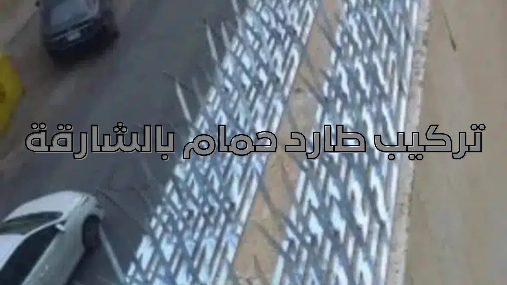 تركيب طارد حمام بالشارقة (2)