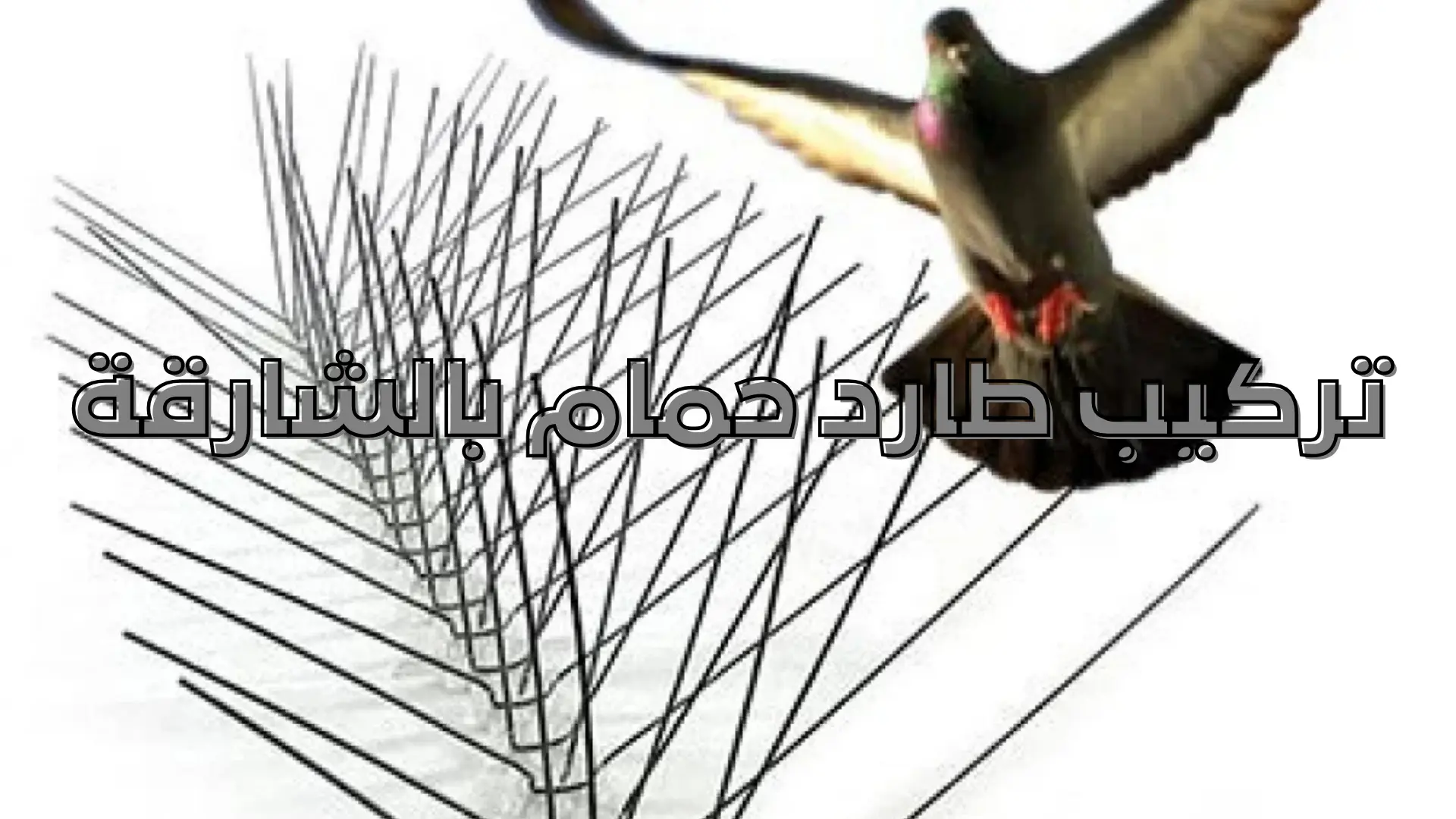 تركيب طارد حمام بالشارقة