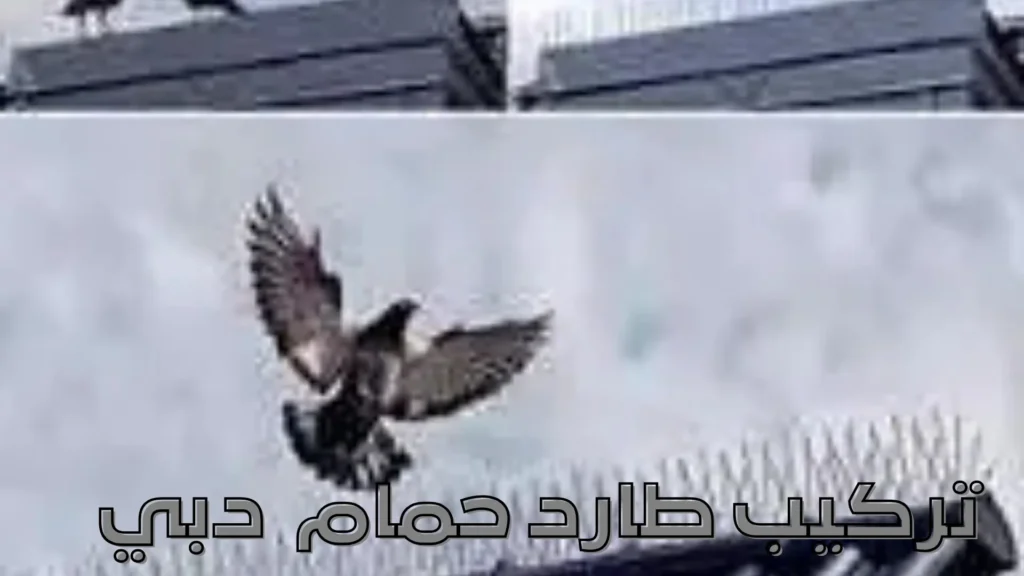 تركيب طارد حمام دبي