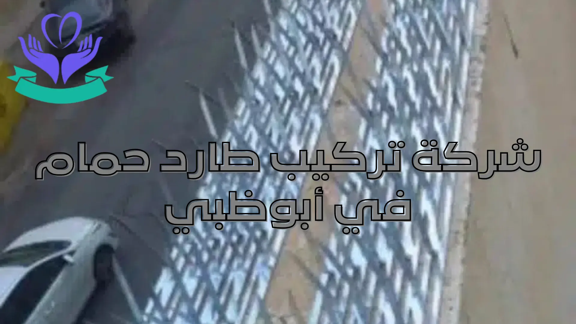 شركة تركيب طارد حمام في أبوظبي (1)