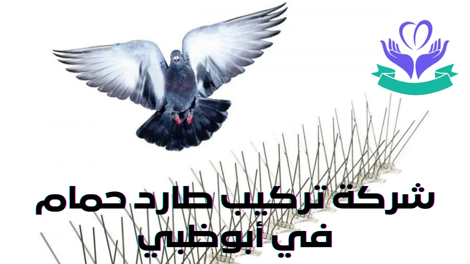 شركة تركيب طارد حمام في أبوظبي