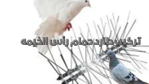 تركيب طارد حمام رأس الخيمه