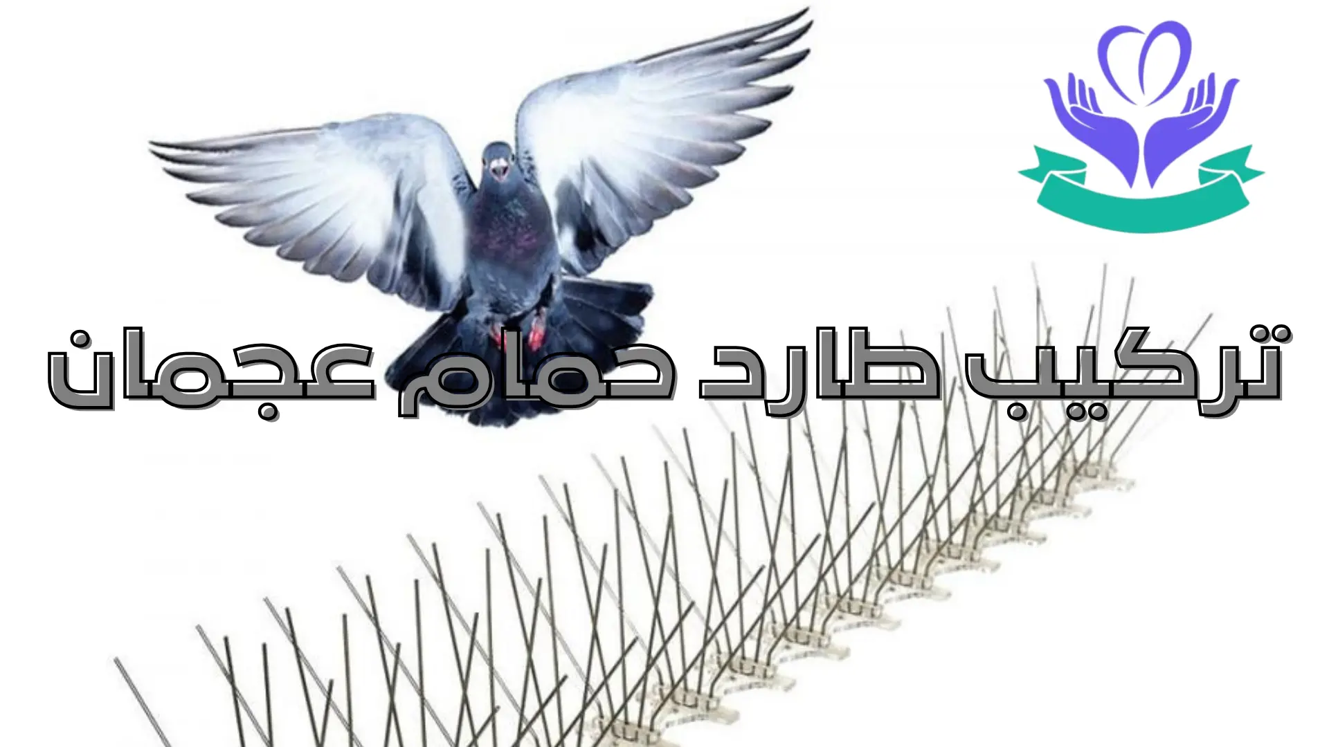 تركيب طارد حمام عجمان