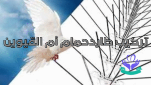 تركيب طاردحمام أم القيوين