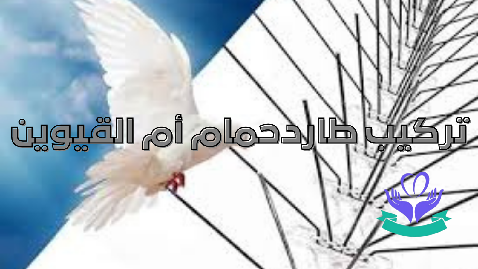 تركيب طاردحمام أم القيوين (2)