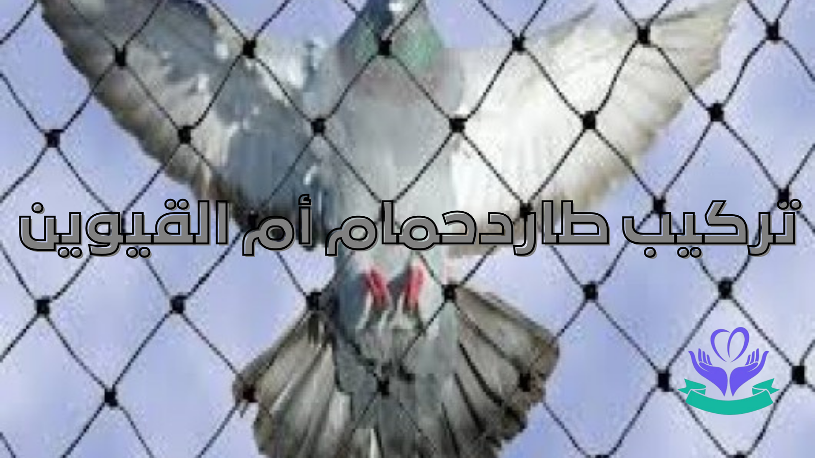 تركيب طاردحمام أم القيوين