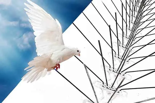 الاماراتي للتنظيف والتعقيم - صورة معرض 4