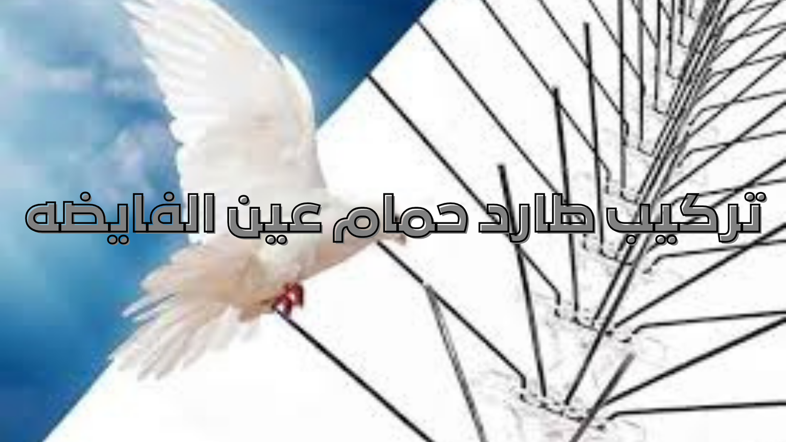 تركيب طارد حمام عين الفايضه