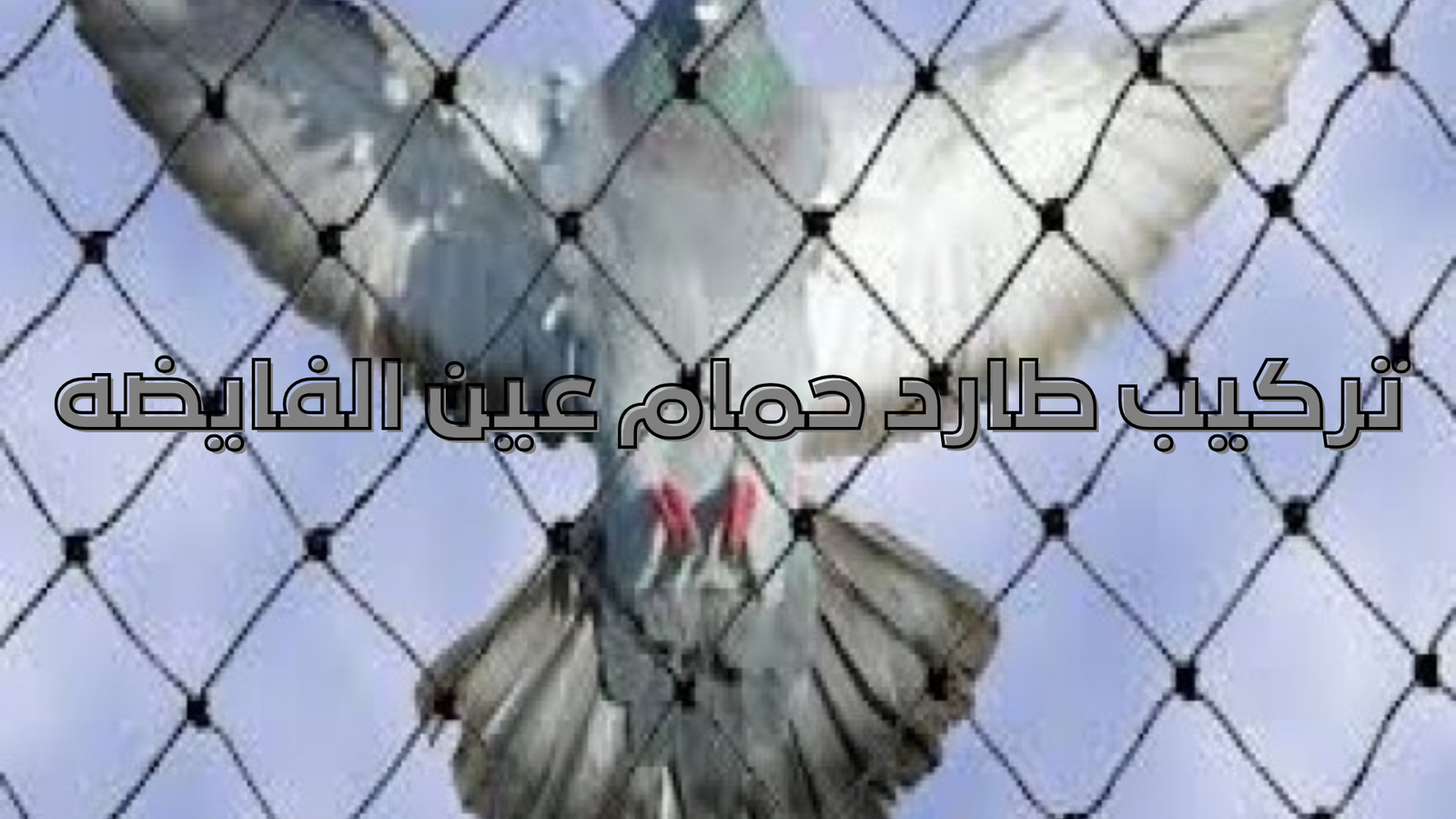 تركيب طارد حمام عين الفايضه